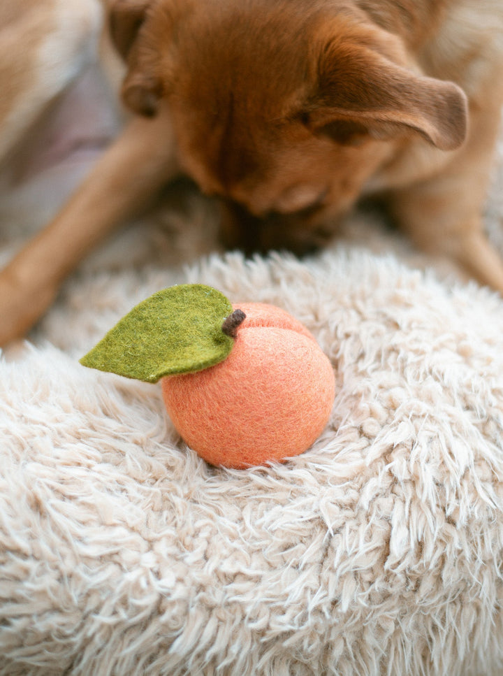 DOGGY PEACH