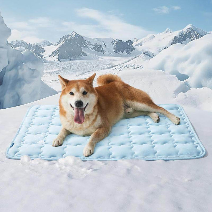 Bedsure Dog Cooling Mat – Washable Summer Crate Pad for Large Dogs Up to 50 lbs , Non-Slip, Portable, QMAX>0.5 Cooling Tech