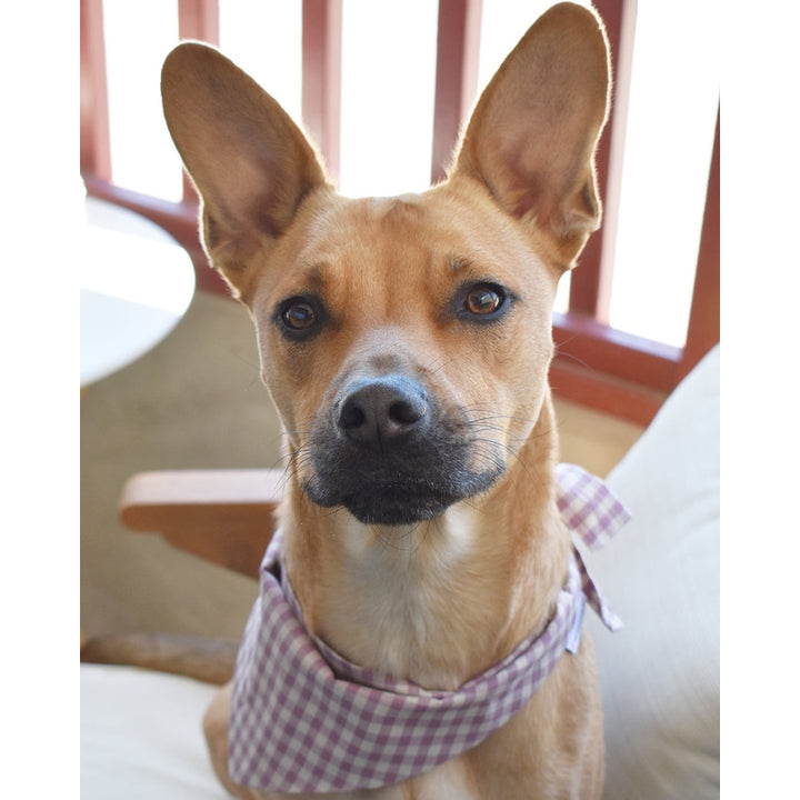GINGHAM BANDANA