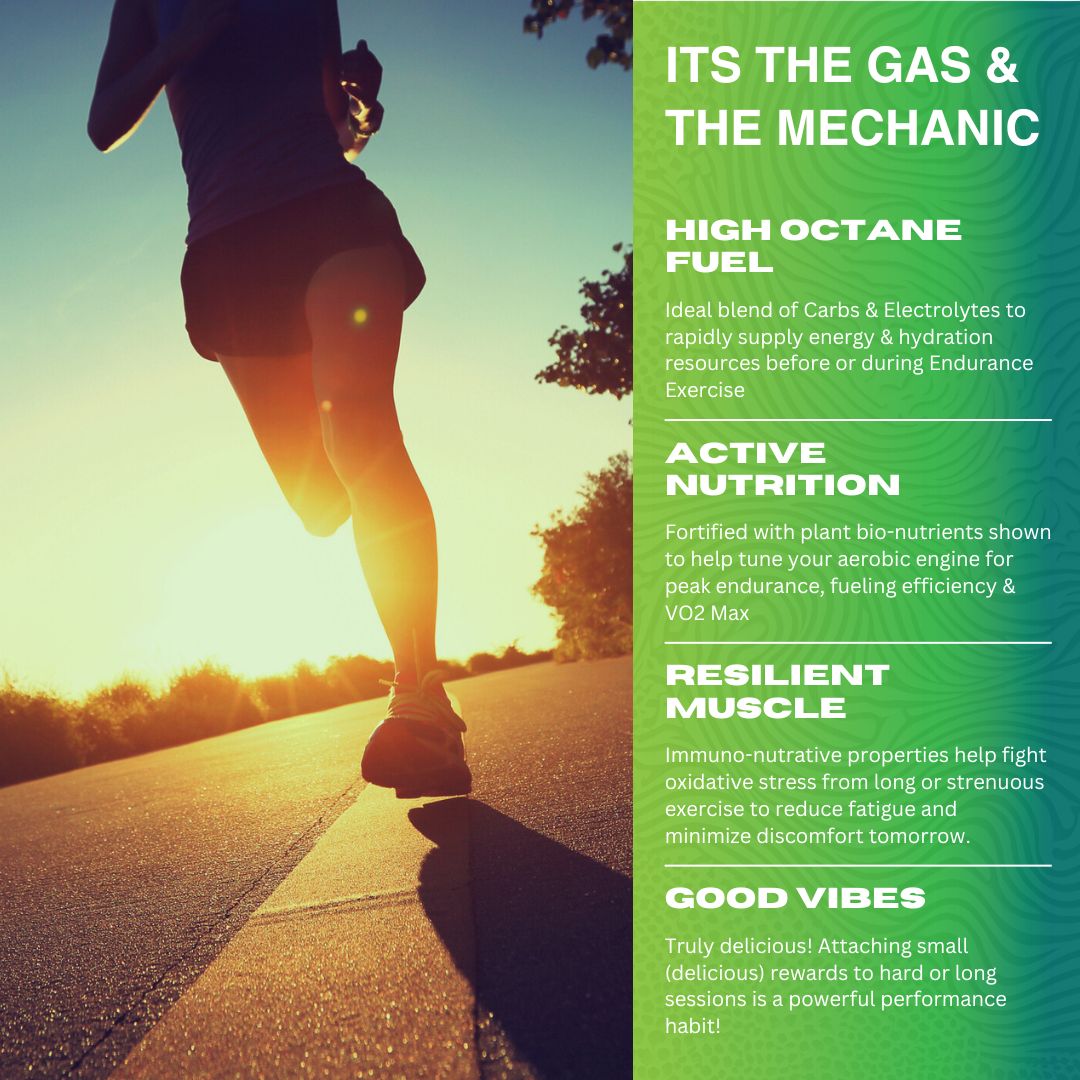 FUEL & HYDRATE DRINK MIX - Citrus for Endurance