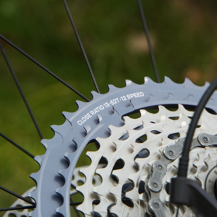 e*thirteen Helix Race 12-Speed 13-52T Cassette