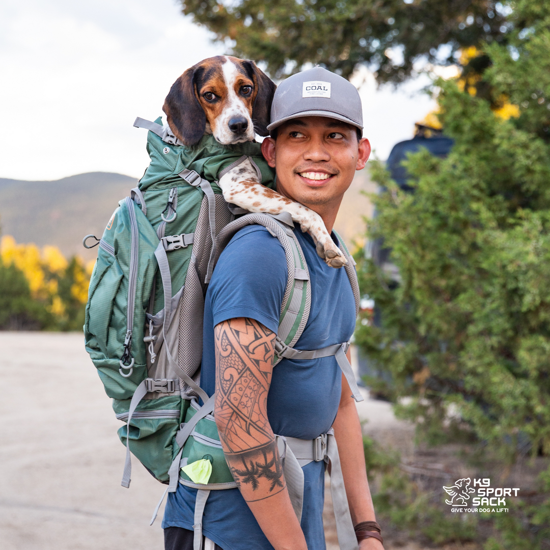 K9 Sport Sack Kolossus | Big Dog Carrier & Backpacking Pack