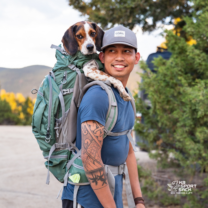 K9 Sport Sack Kolossus | Big Dog Carrier & Backpacking Pack