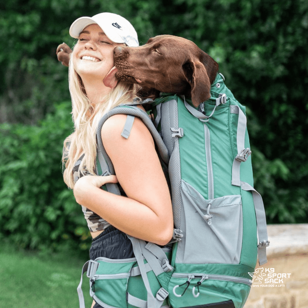 K9 Sport Sack Kolossus | Big Dog Carrier & Backpacking Pack
