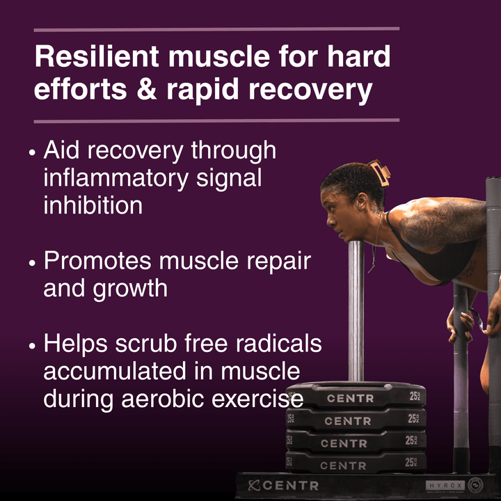 Grit Fuel Endurance Capsules for Peak Performance