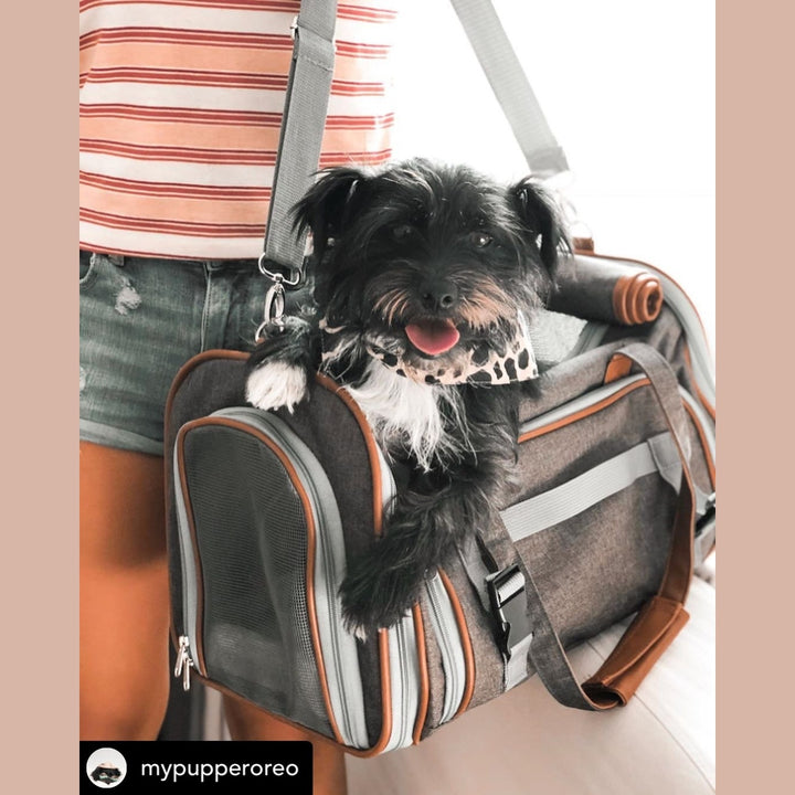 Mr. Peanut's Gold Series Standard Size Airline Compliant Pet Carrier