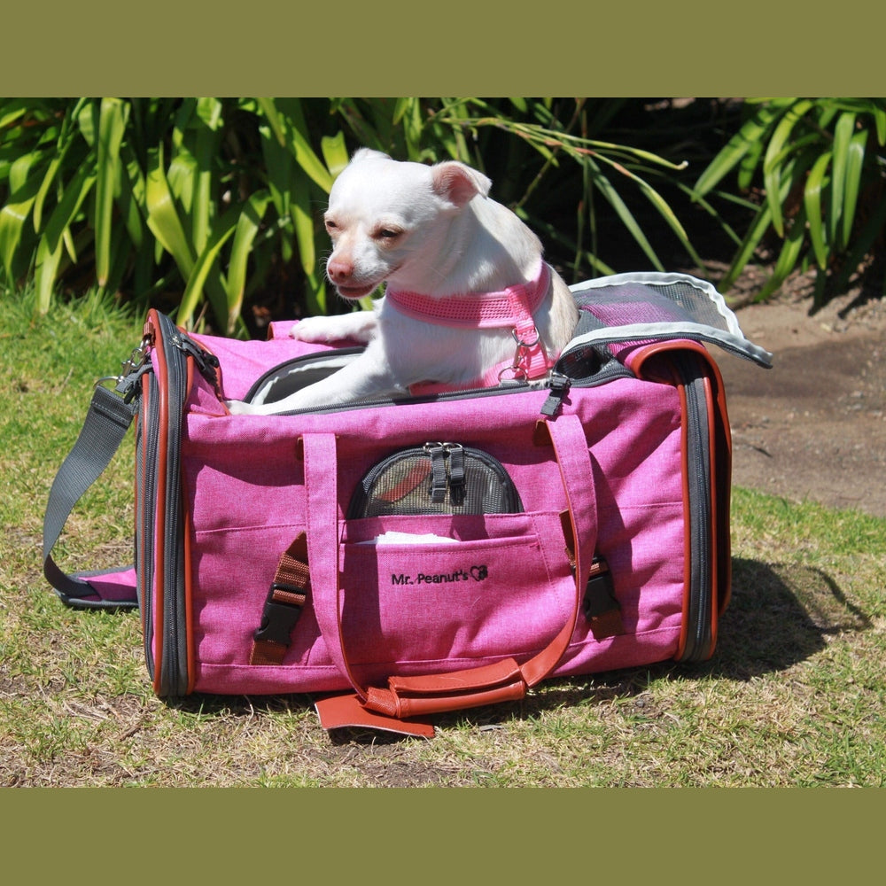 Mr. Peanut's Gold Series Standard Size Airline Compliant Pet Carrier