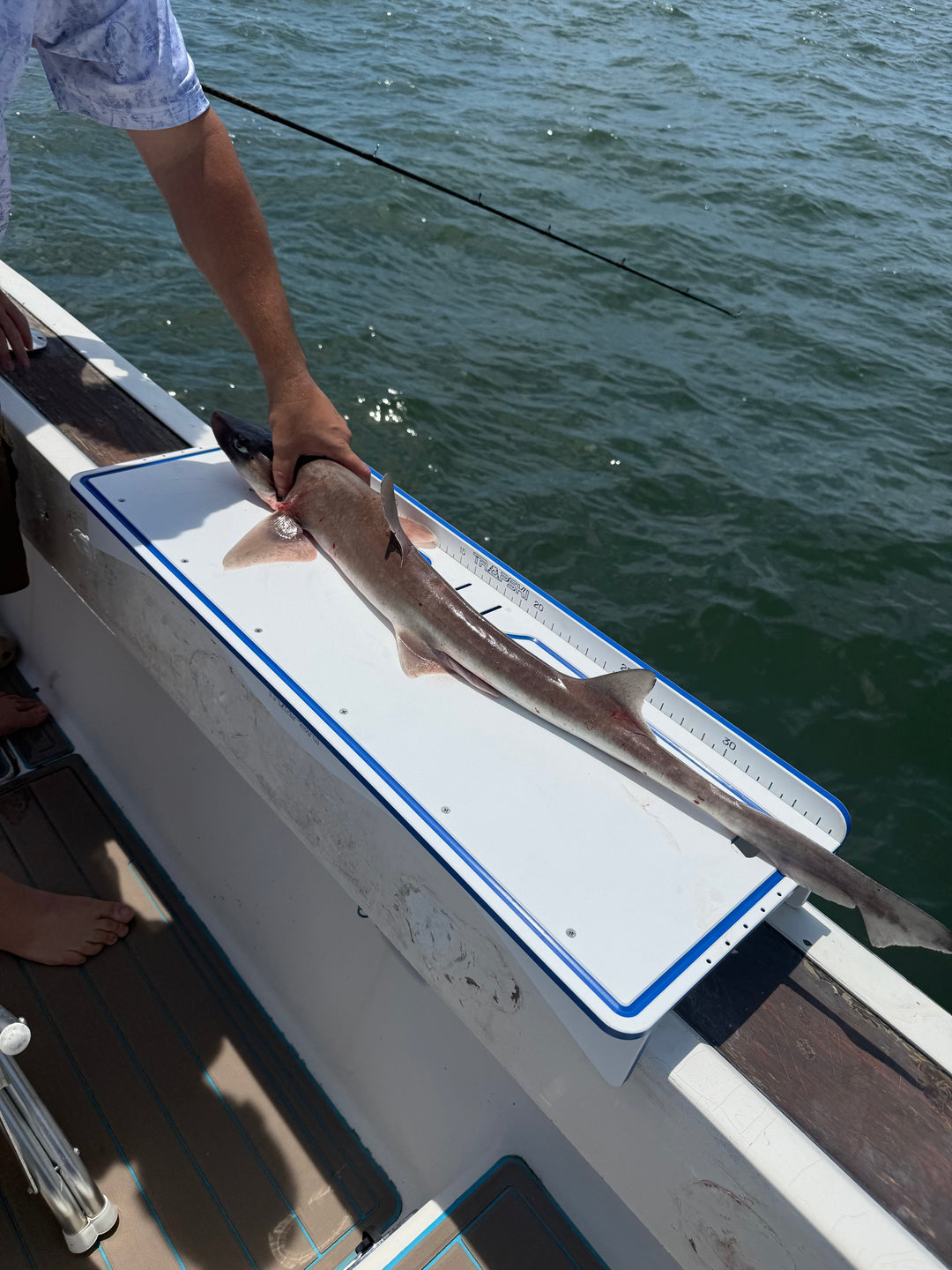 TRAPSKI Premium Double Bucket 33" Raised Fillet Table Cutting Board | Made in the USA