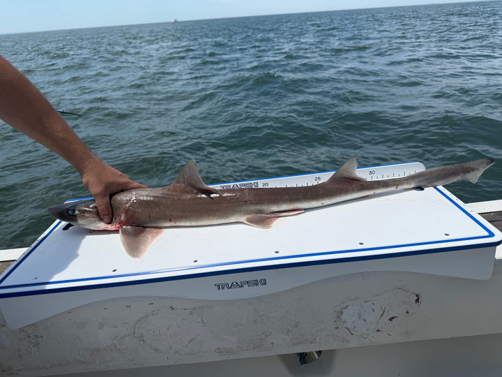 TRAPSKI Premium Double Bucket 33" Raised Fillet Table Cutting Board | Made in the USA