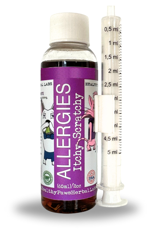 Itchy Scratchy - The Solution for Pet Allergies