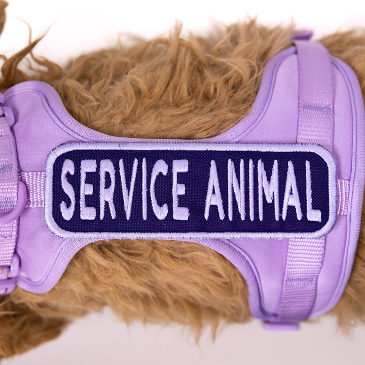 K9 Sport Sack Service Animal 2x6 Patch