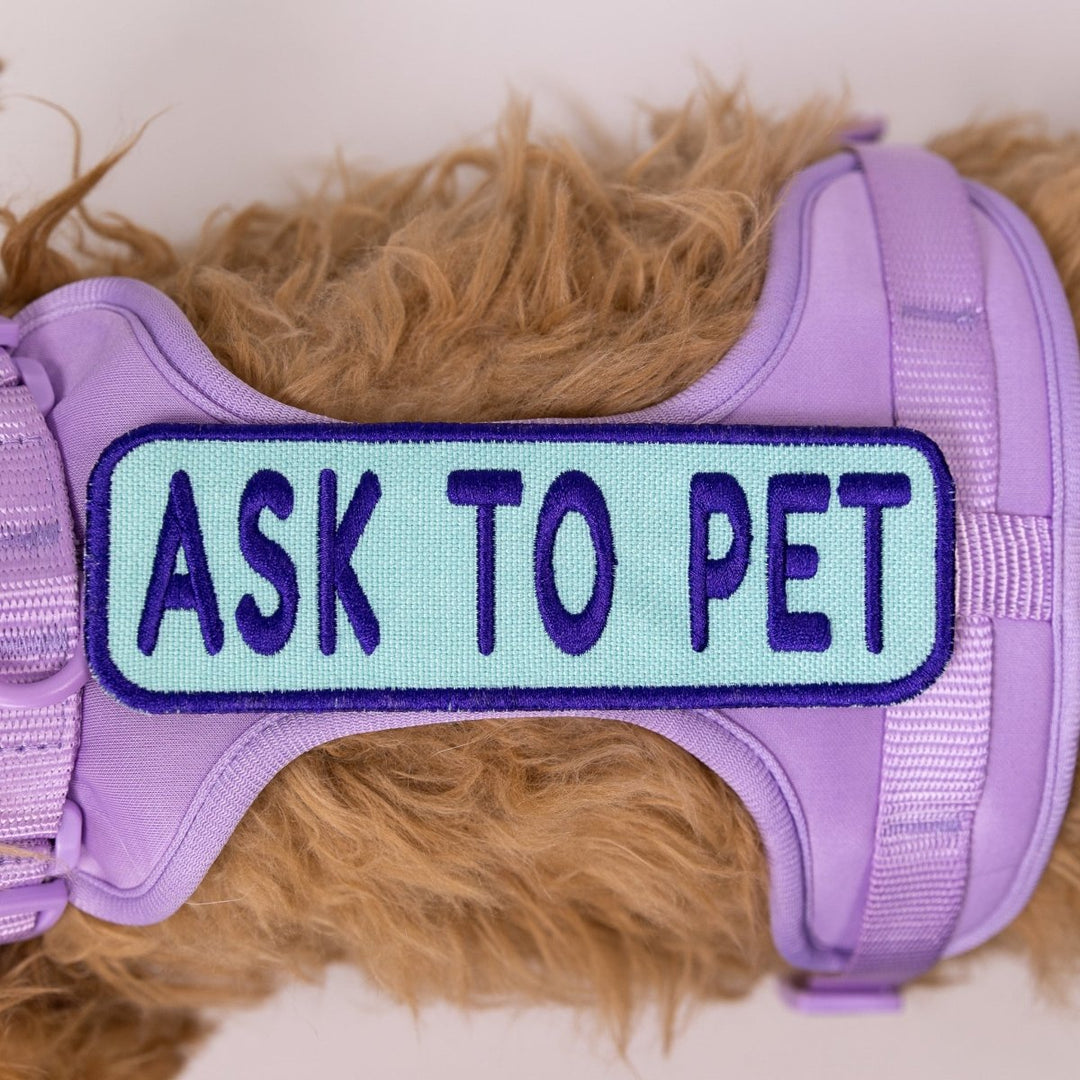 K9 Sport Sack Ask to Pet 2x6 Patch