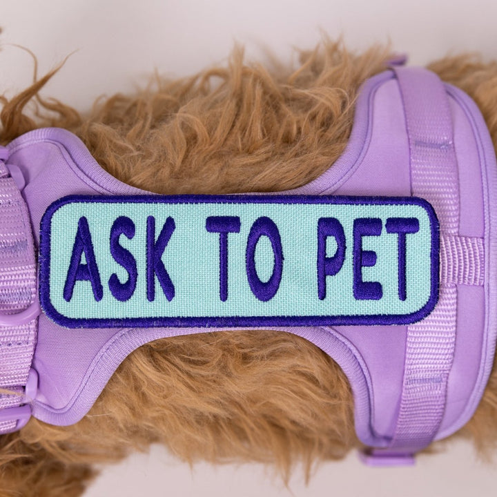 K9 Sport Sack Ask to Pet 2x6 Patch