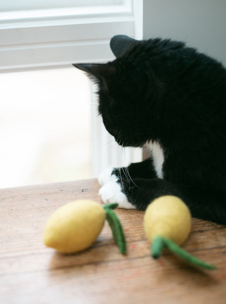 Wool Dog and Cat Toy - Lemon Shape Set of 2