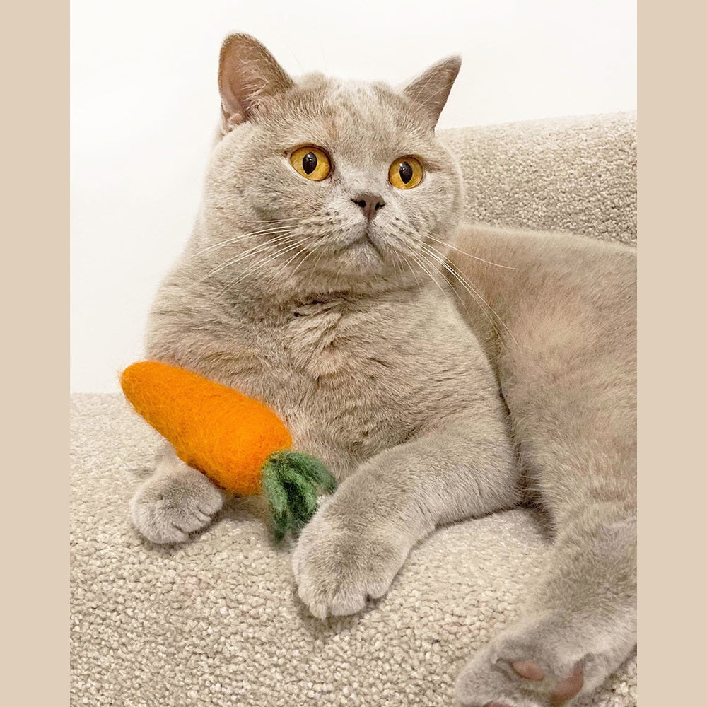 KITTY CARROT
