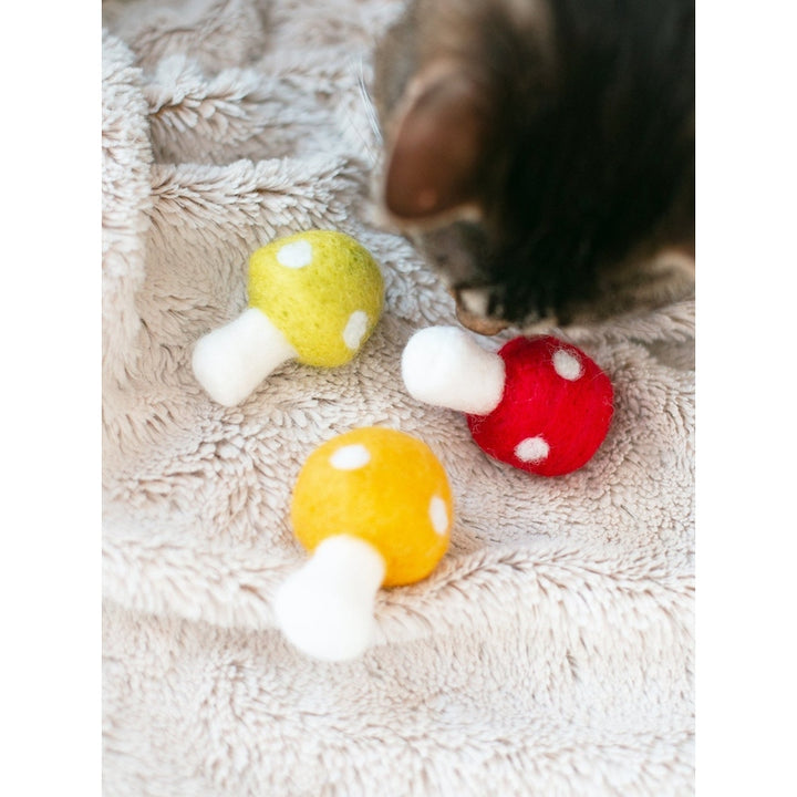 KITTY SHROOMS