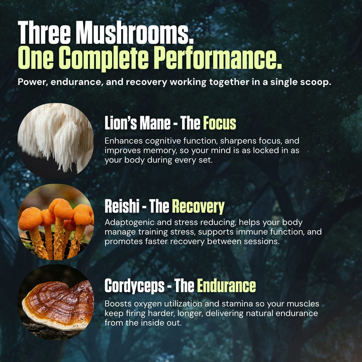 Kinetic™ - Mushroom Enhanced Pre-Workout Supplement