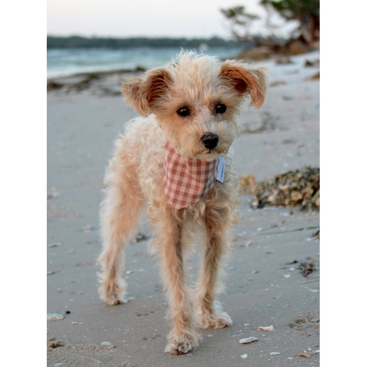 GINGHAM BANDANA