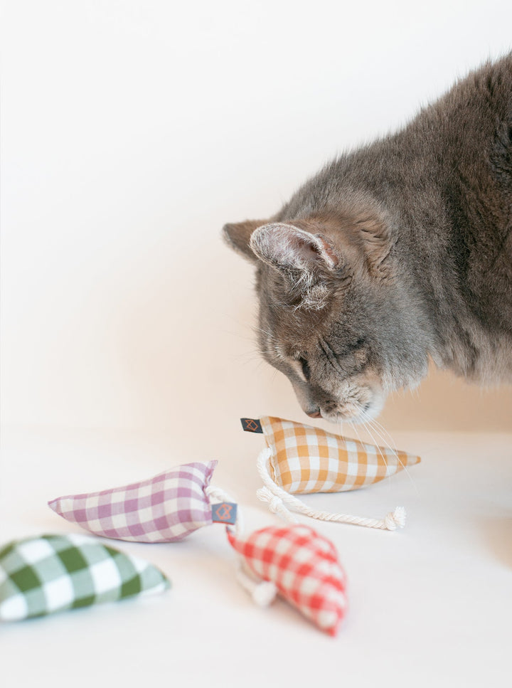 MODERN MOUSE - GINGHAM