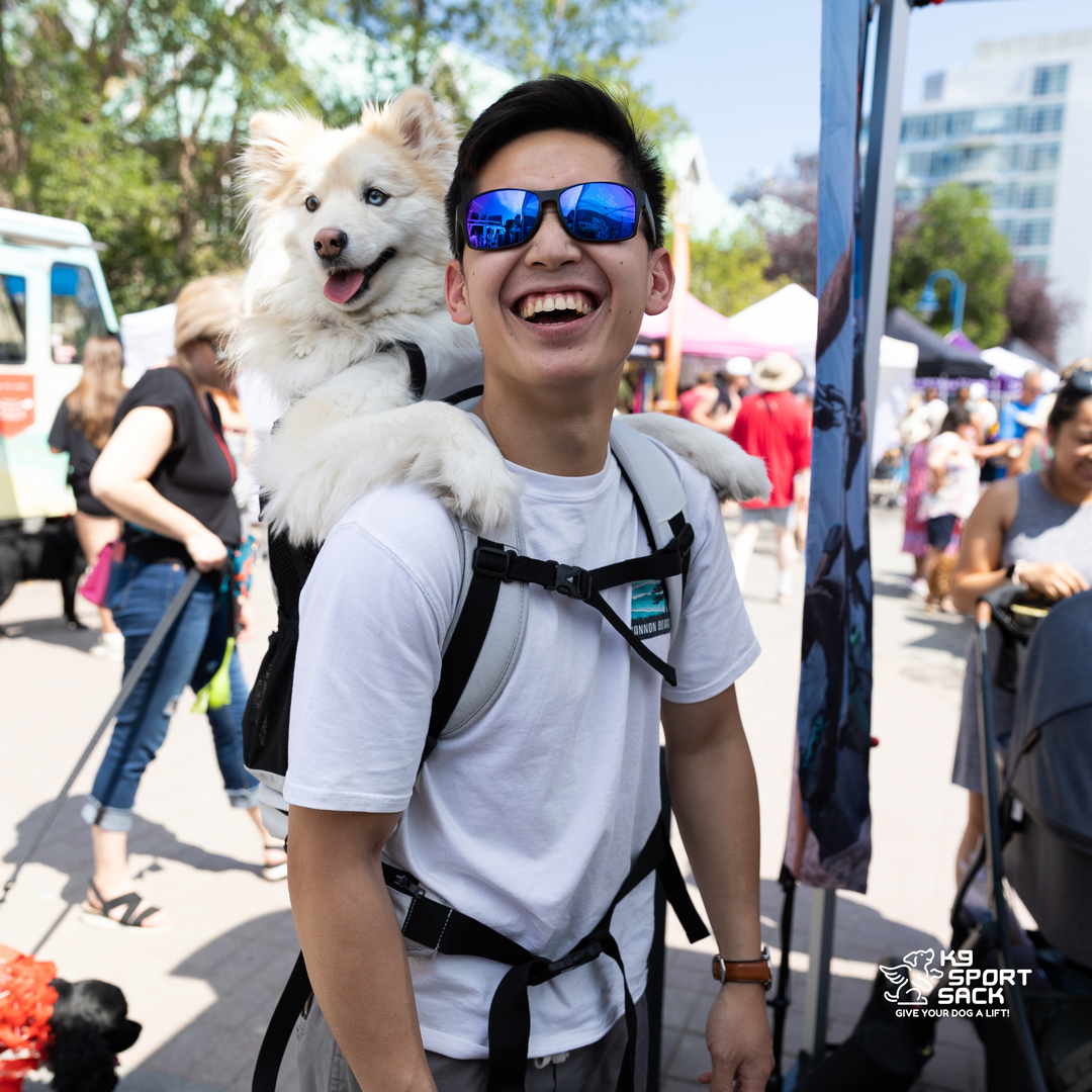 K9 Sport Sack Knavigate | Advanced Dog Carrier with Internal Frame & Hip Belt