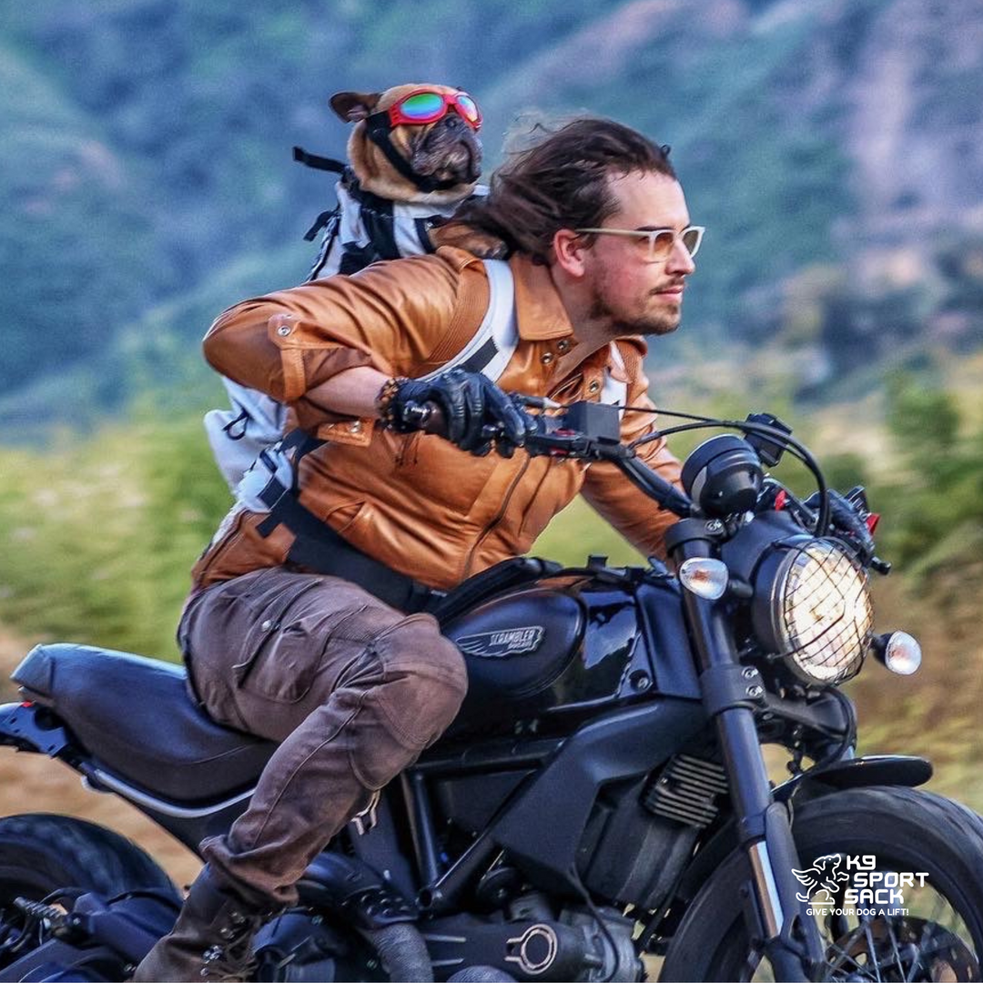 K9 Sport Sack Knavigate | Advanced Dog Carrier with Internal Frame & Hip Belt