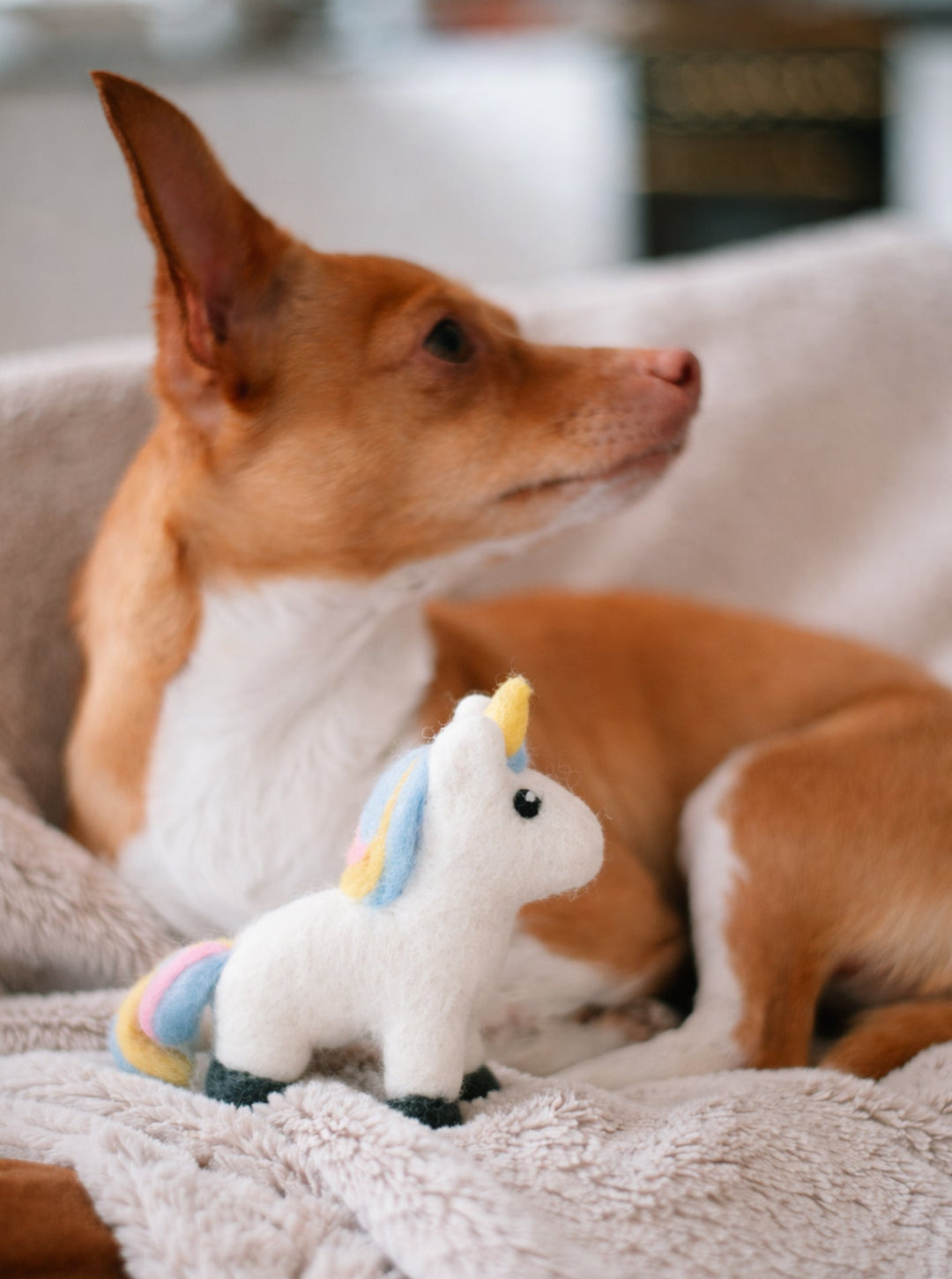 Handcrafted Wool Dog Toys - MAGICAL UNICORN