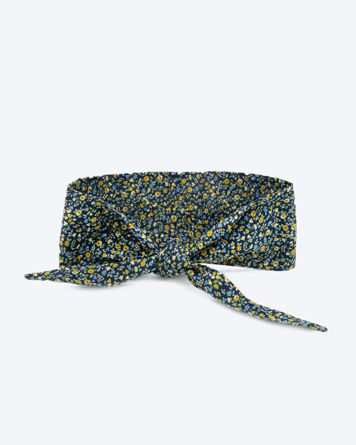 Adventure Necktie for Dogs and Pets - Unique Design