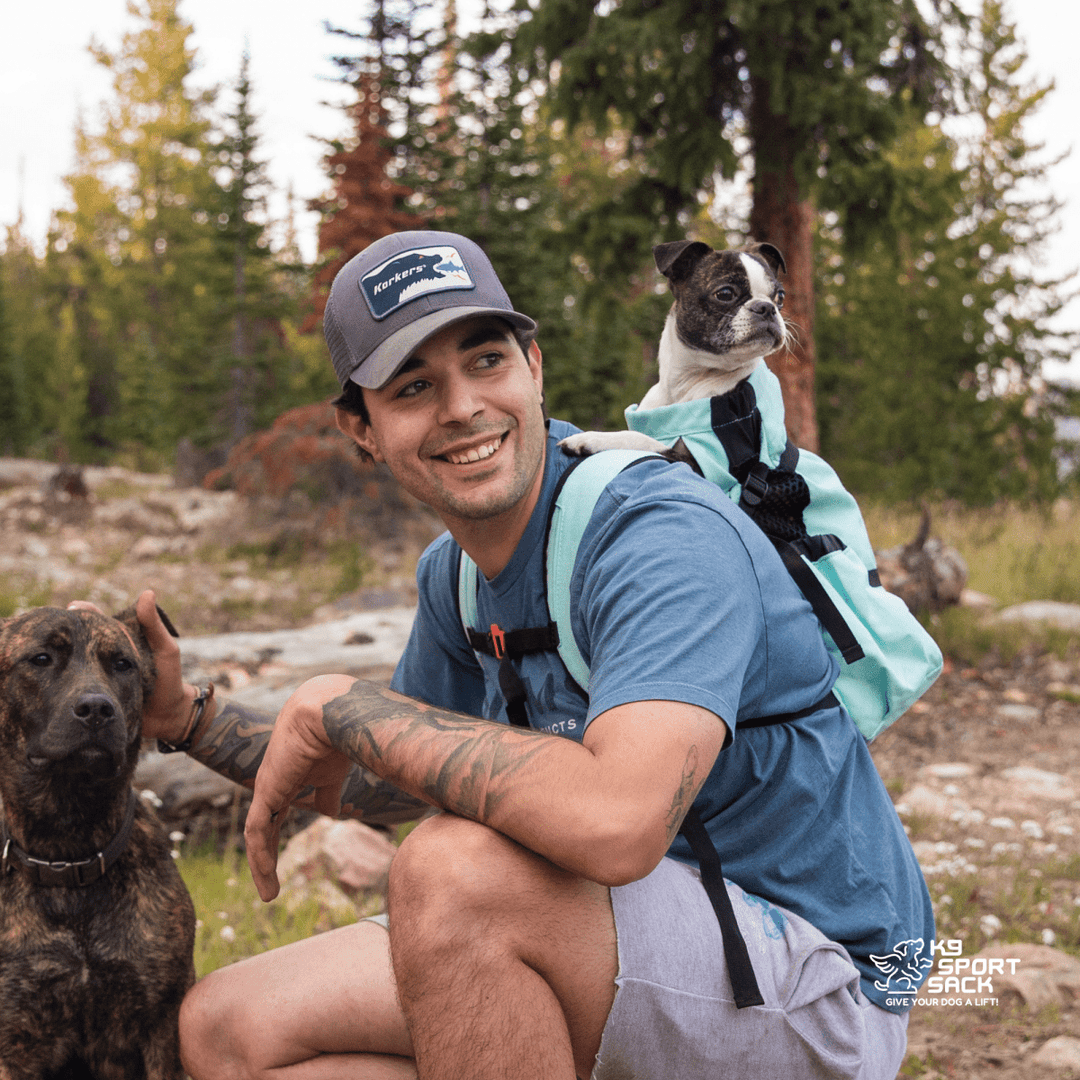 K9 Sport Sack Air 2 | The Original Backpack Dog Carrier