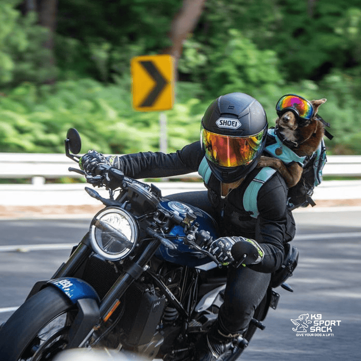 K9 Sport Sack Plus 2 | Dog Carrier with Removable Storage