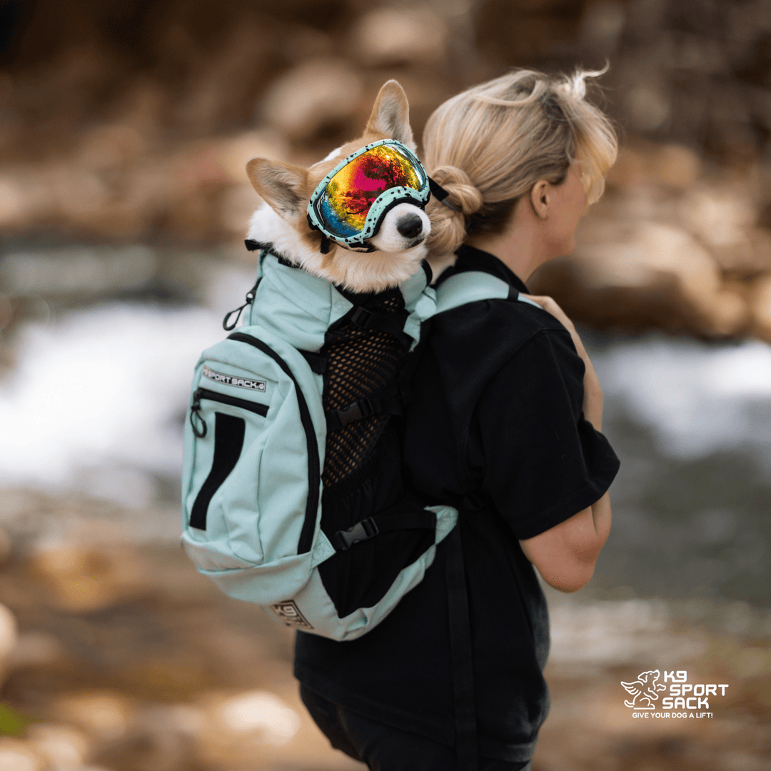 K9 Sport Sack Plus 2 | Dog Carrier with Removable Storage