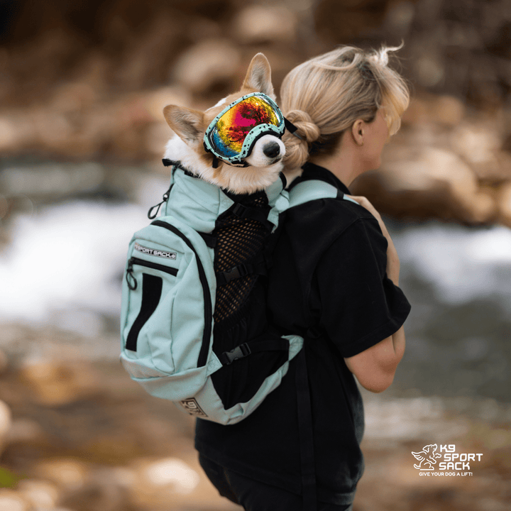 K9 Sport Sack Plus 2 | Dog Carrier with Removable Storage