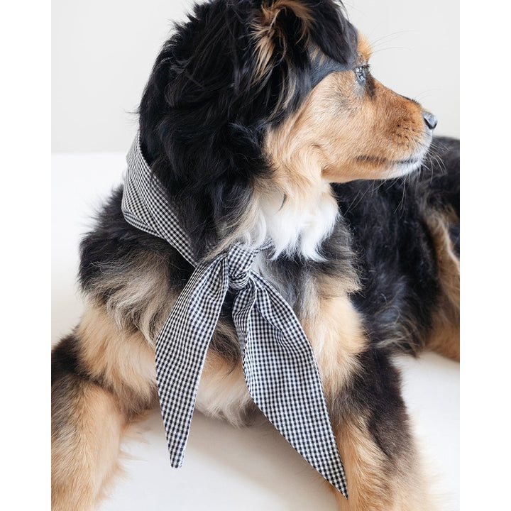 CLASSIC NECKTIE