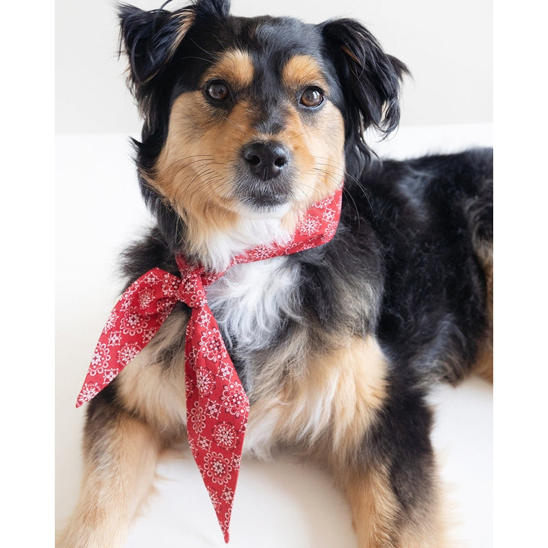 CLASSIC NECKTIE