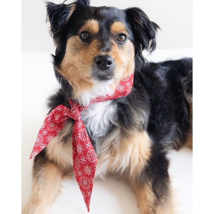 CLASSIC NECKTIE