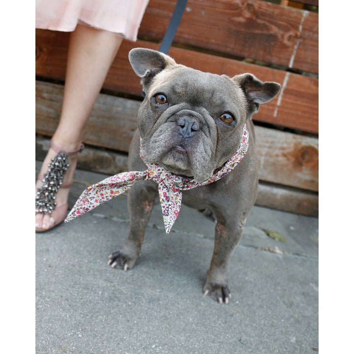 CLASSIC NECKTIE