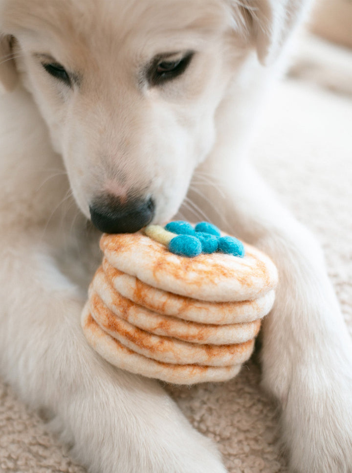 Wool Dog Cat Toy Stack of Pancakes for Pets