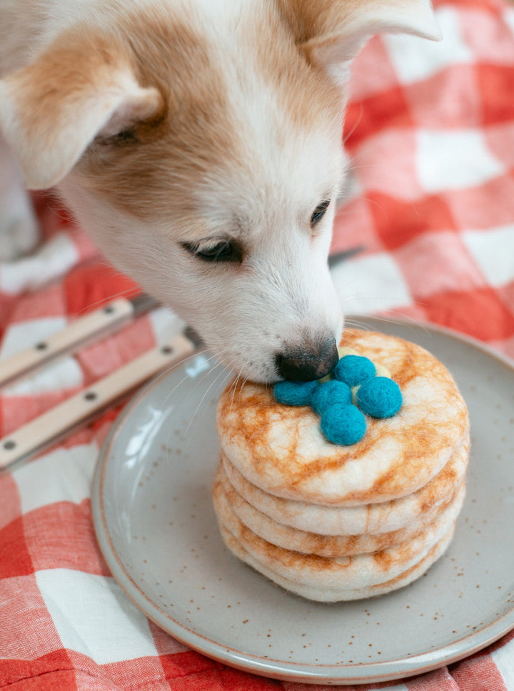 Wool Dog Cat Toy Stack of Pancakes for Pets