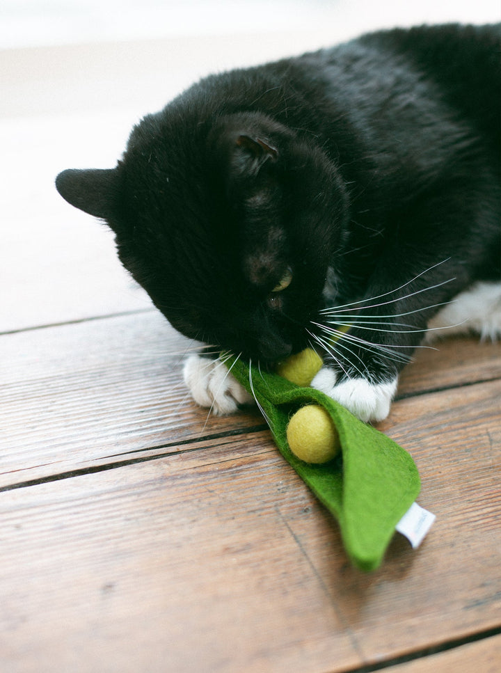 PEA POD WOOL CAT TOY