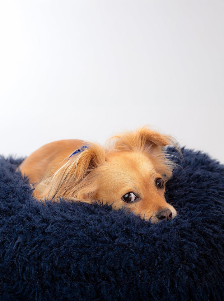 POD DOG BED