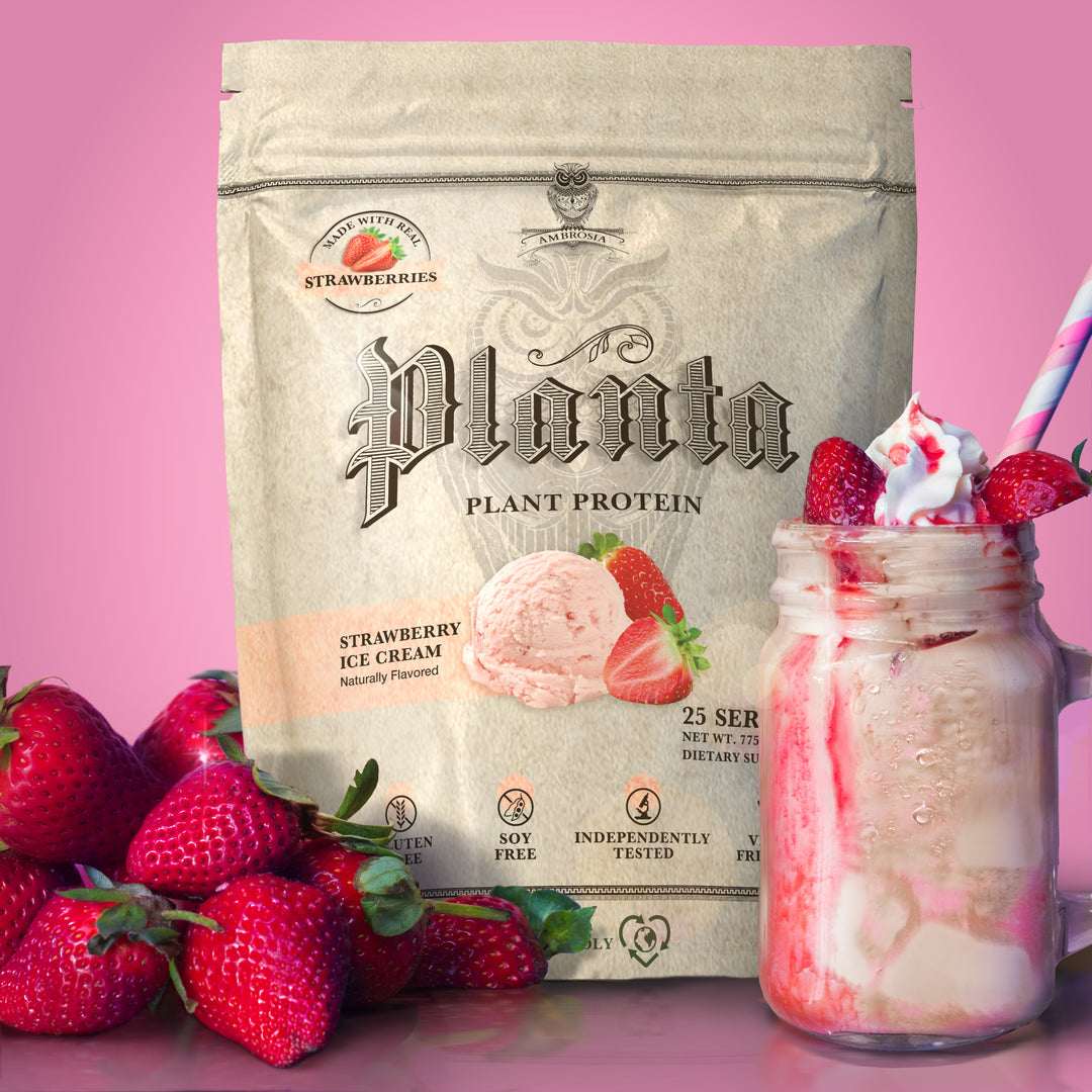 Planta® - Premium Plant Protein Supplement