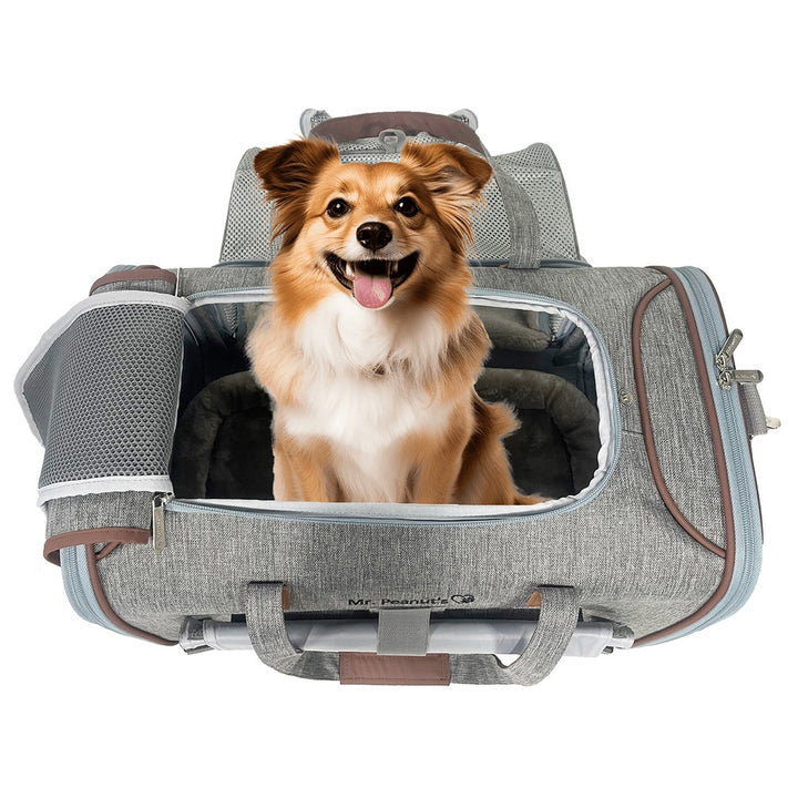 Mr. Peanut's Gold Series Big Apple XL Size Airline Compliant Expandable Pet Carrier