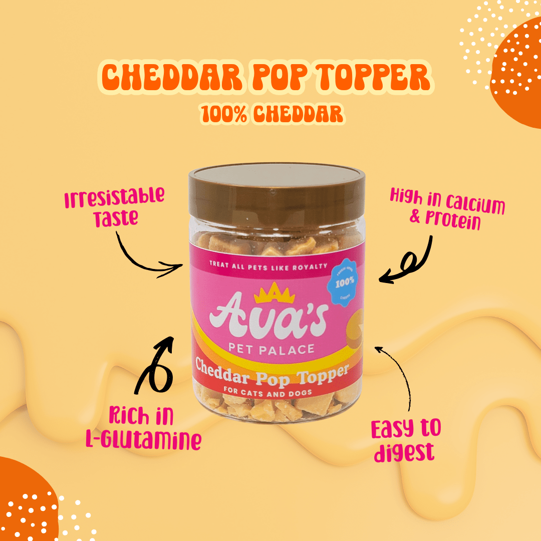 Freeze Dried Cheddar Pop Topper