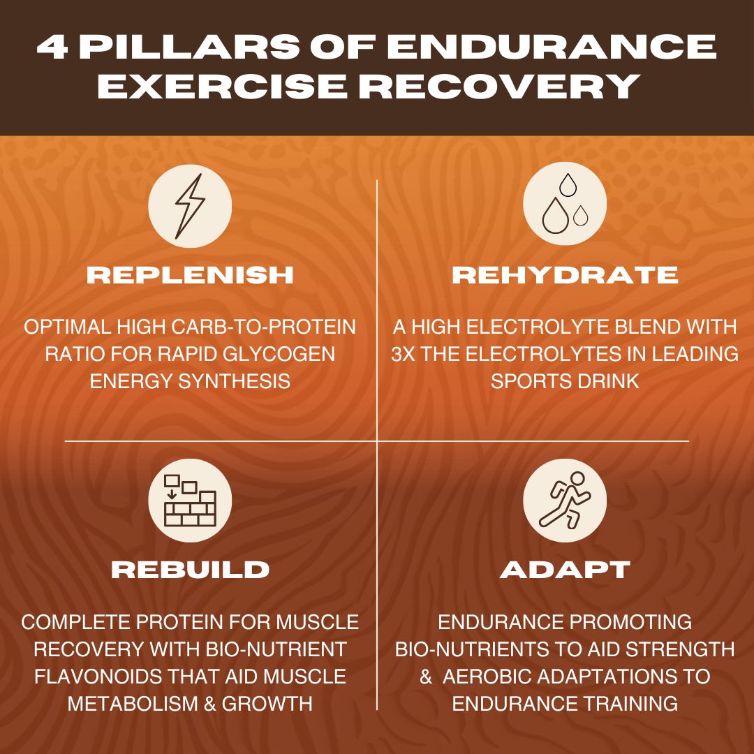 Freak Shake Endurance Recovery Drink Mix - Chocolate