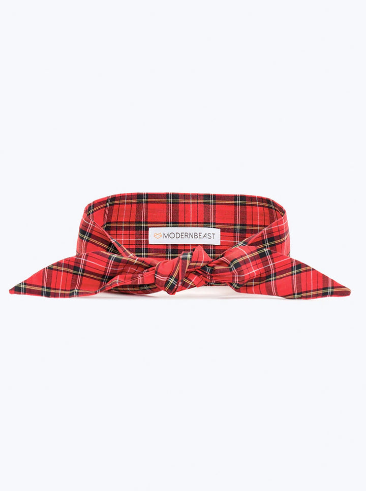 Stylish Holiday Dog Neckties with Plaid Designs