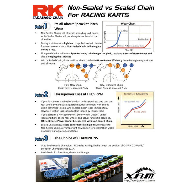 219 RK Non-Sealed Chain | Primary Belt to Chain Conversion Kit | E Ride Pro 2.0