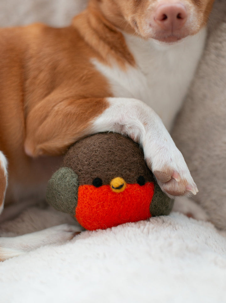 ROBIN BEASTBALL DOG TOY