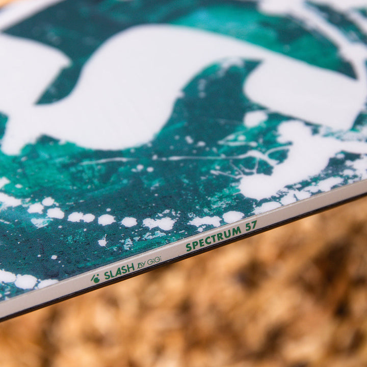 Slash by GiGi Spectrum Cambered Jibbing Snowboard