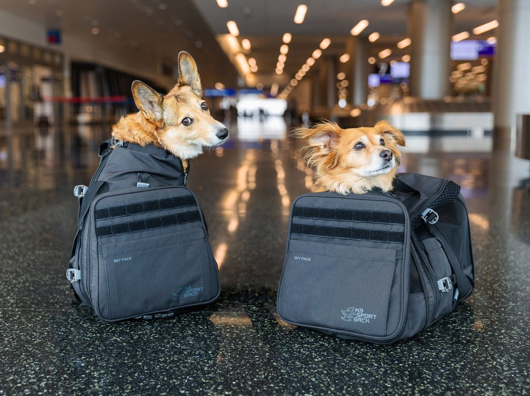 K9 Sport Sack Sky Pack | Convertible Dog Backpack & Pet Carrier