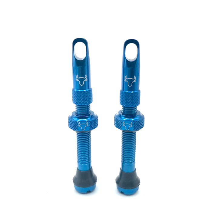 Hold Fast 42mm Insert Compatible Tubeless Valves in 16 Colors