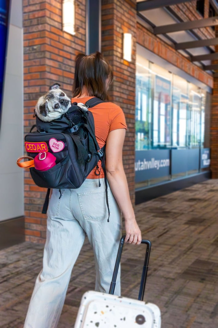 K9 Sport Sack Sky Pack | Convertible Dog Backpack & Pet Carrier